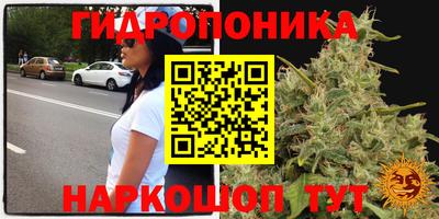 2c-b Заводоуковск