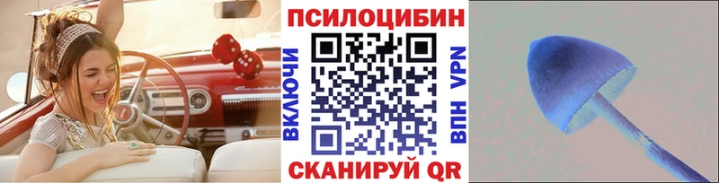 Галлюциногенные грибы Cubensis  Новозыбков 