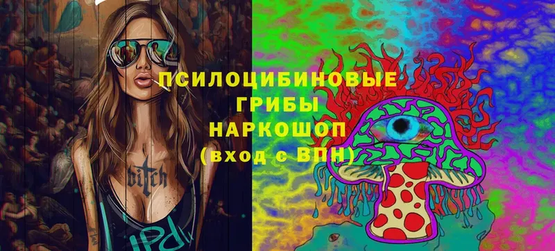 Галлюциногенные грибы Psilocybe  ОМГ ОМГ как войти  Новозыбков  купить  цена 