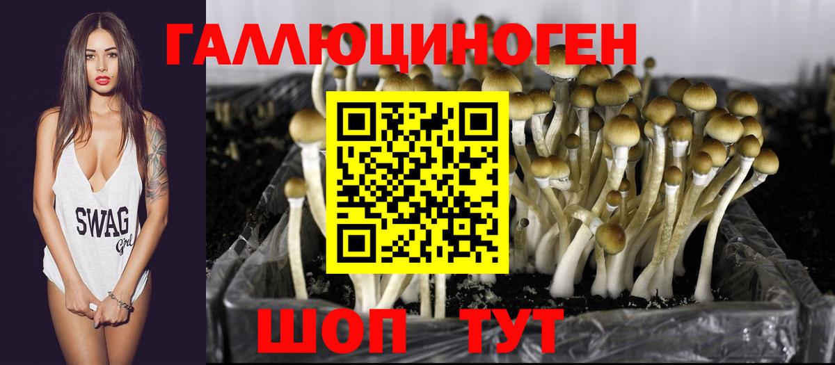 Галлюциногенные грибы MAGIC MUSHROOMS Новозыбков
