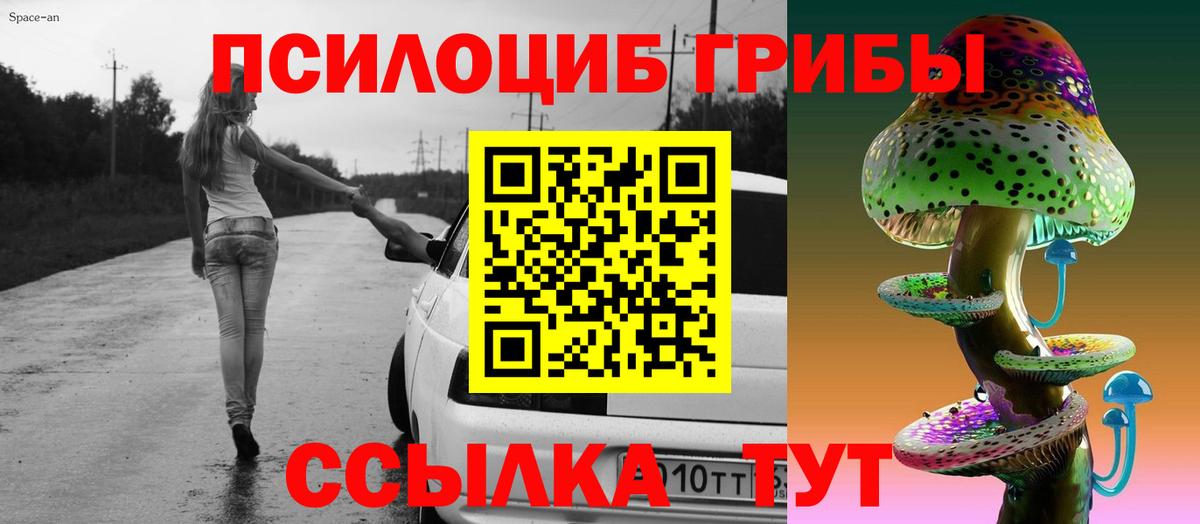 Галлюциногенные грибы GOLDEN TEACHER  Новозыбков  Галлюциногенные грибы MAGIC MUSHROOMS 