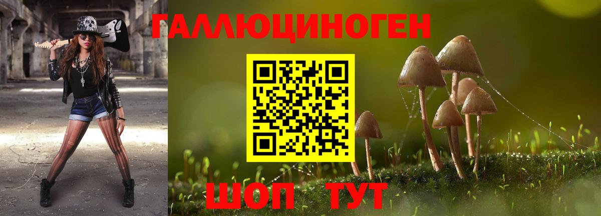 Галлюциногенные грибы Psilocybe  Галлюциногенные грибы MAGIC MUSHROOMS  где продают наркотики  Вход с VPN  Новозыбков 